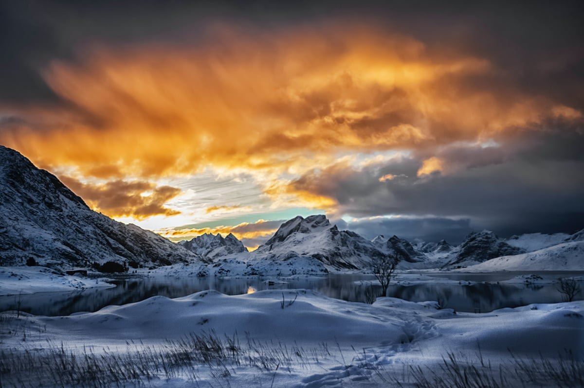 Northern light — research and lineage meeting in the same work.