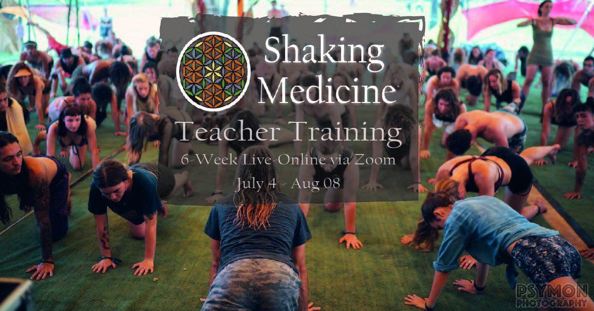 Poster for the six-week live online teacher training, 4 July to 8 August