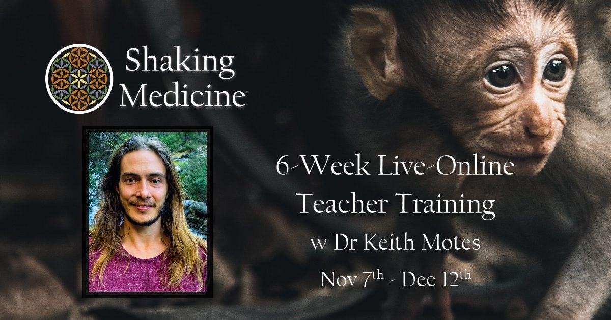 Poster for the six-week live online teacher training, 7 November to 12 December