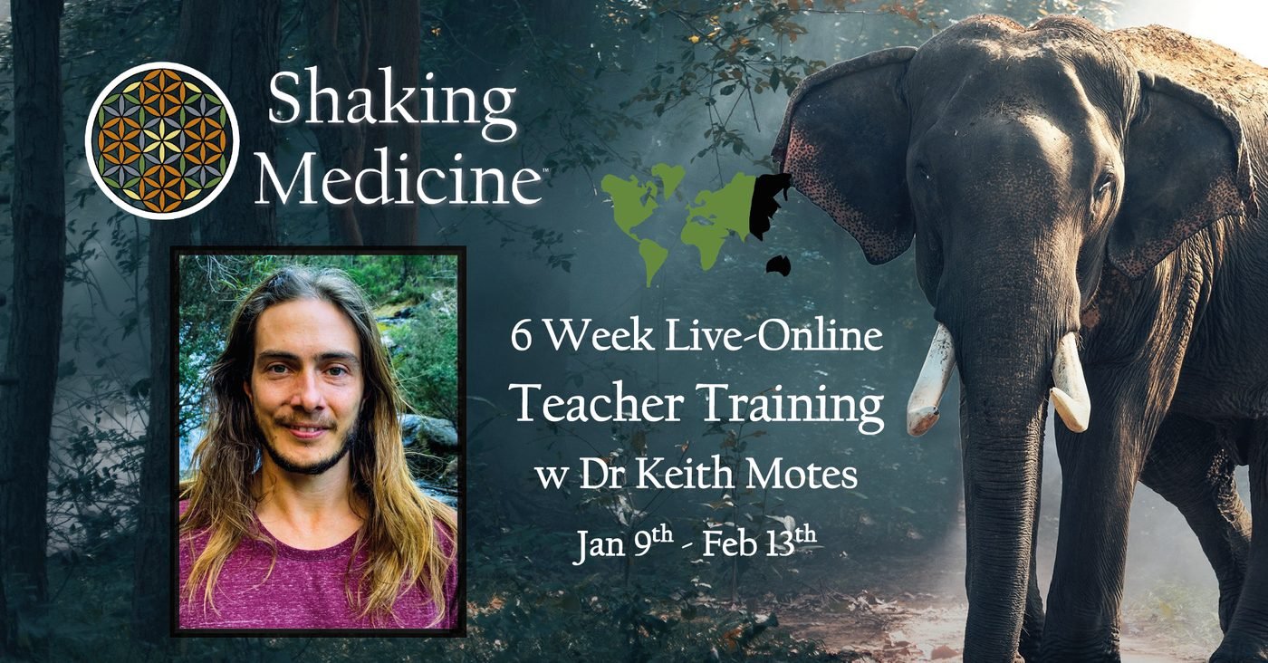 Poster for the six-week live online teacher training, 9 January to 13 February