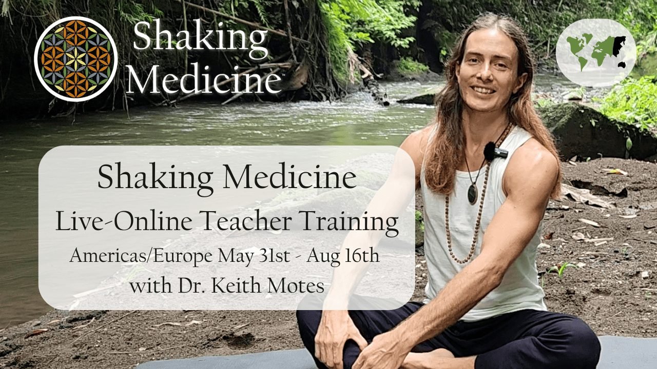 Poster for the live online teacher training, 31 May to 16 August 2025