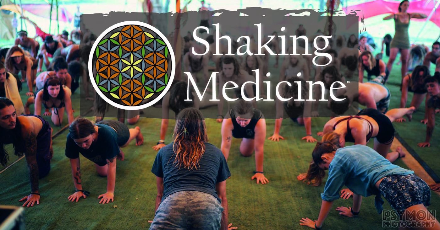 Event cover for the We Move Shaking Medicine workshop